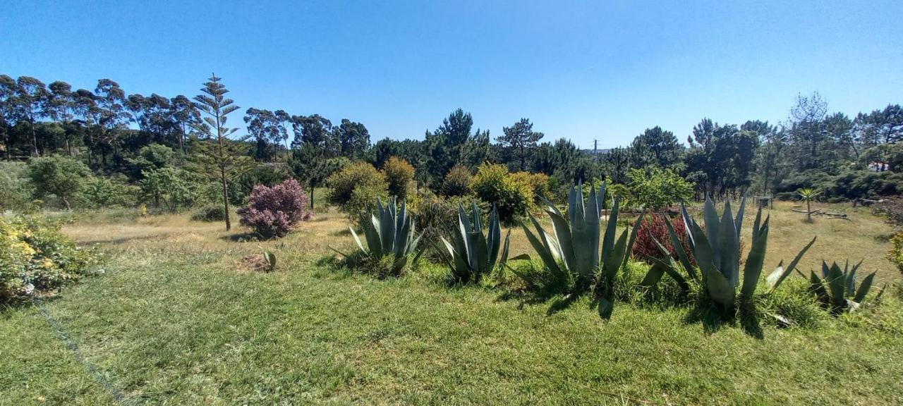 Monte Da Urze Aljezur - Agroturismo エクステリア 写真