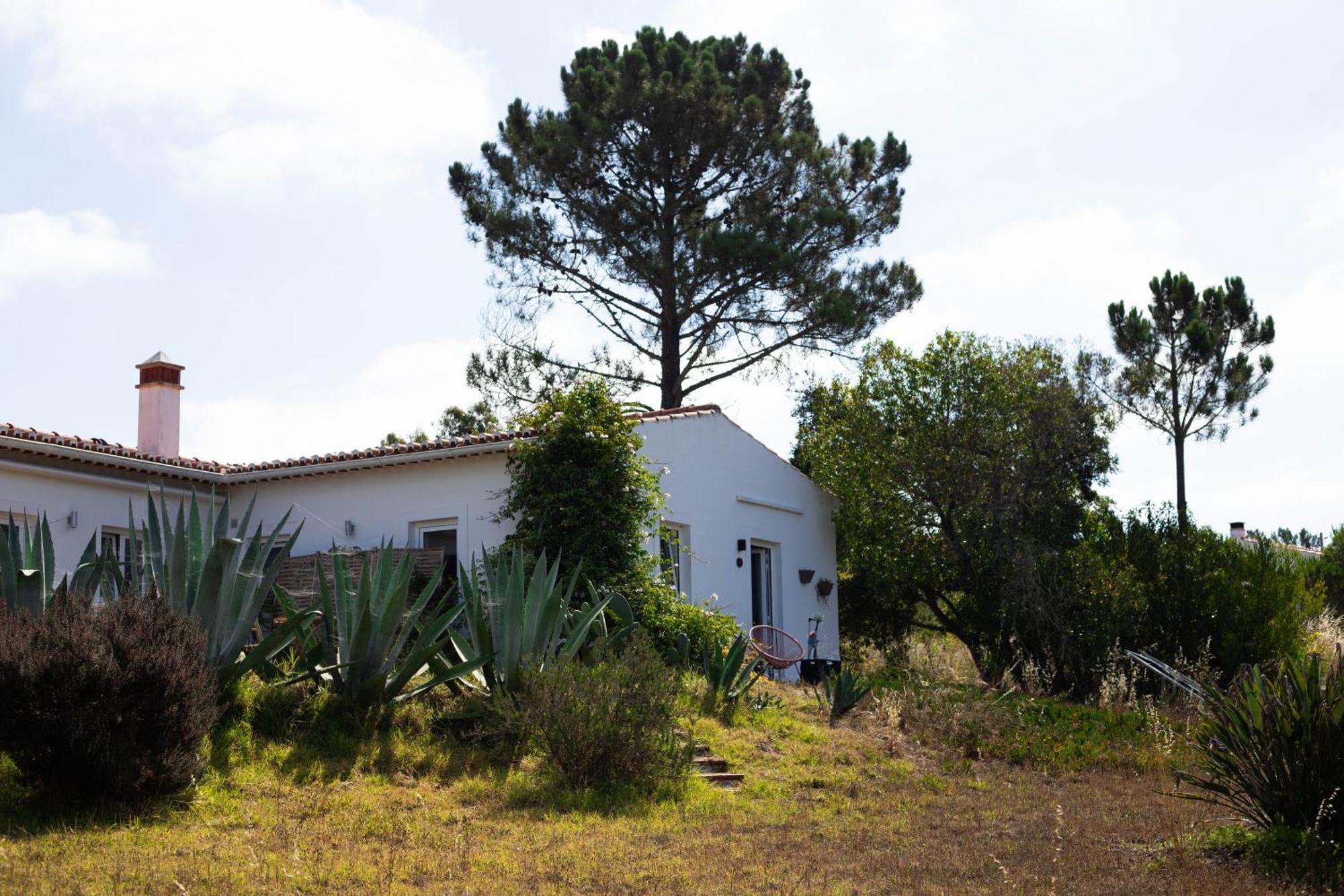 Monte Da Urze Aljezur - Agroturismo エクステリア 写真