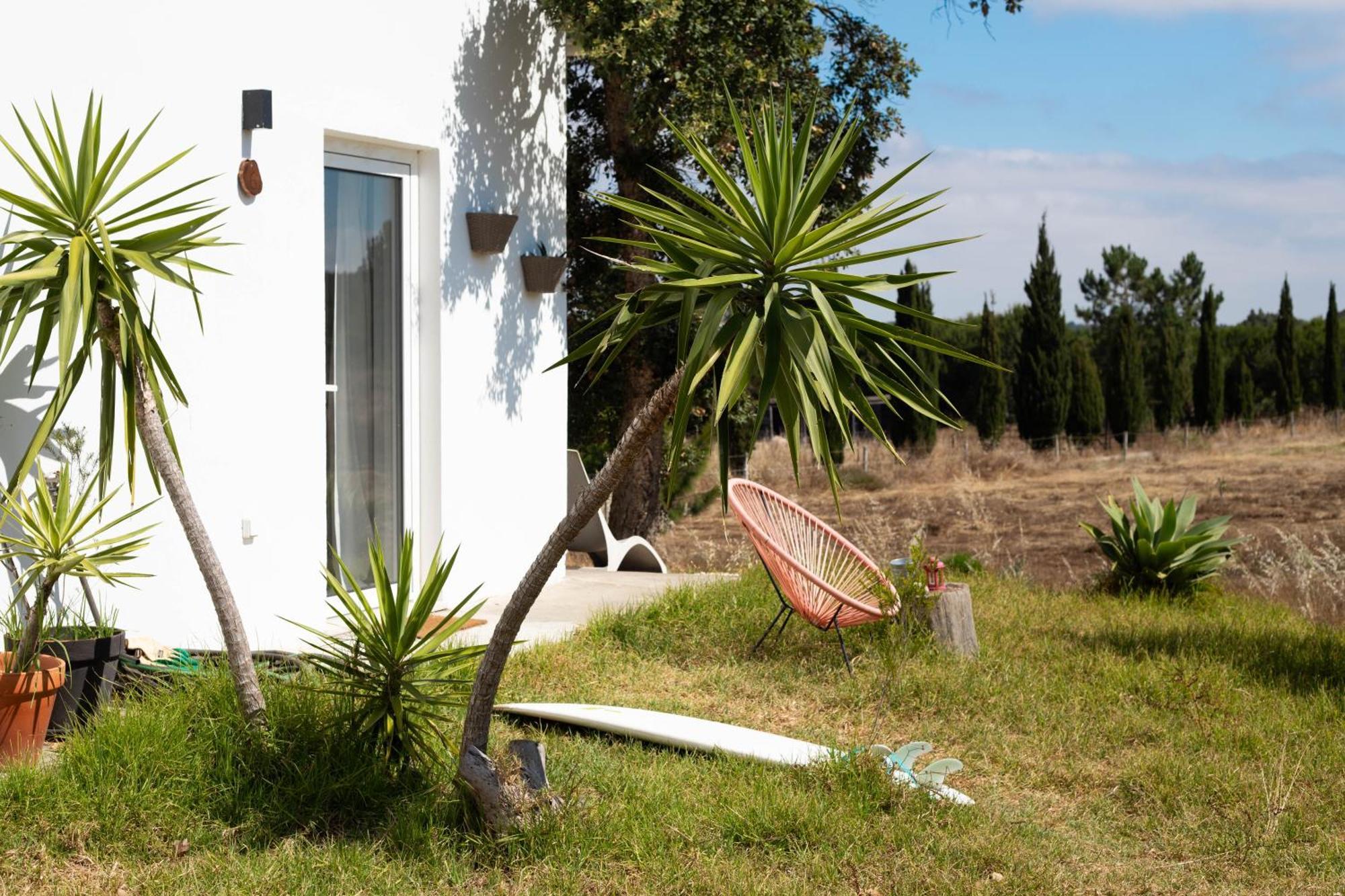 Monte Da Urze Aljezur - Agroturismo エクステリア 写真