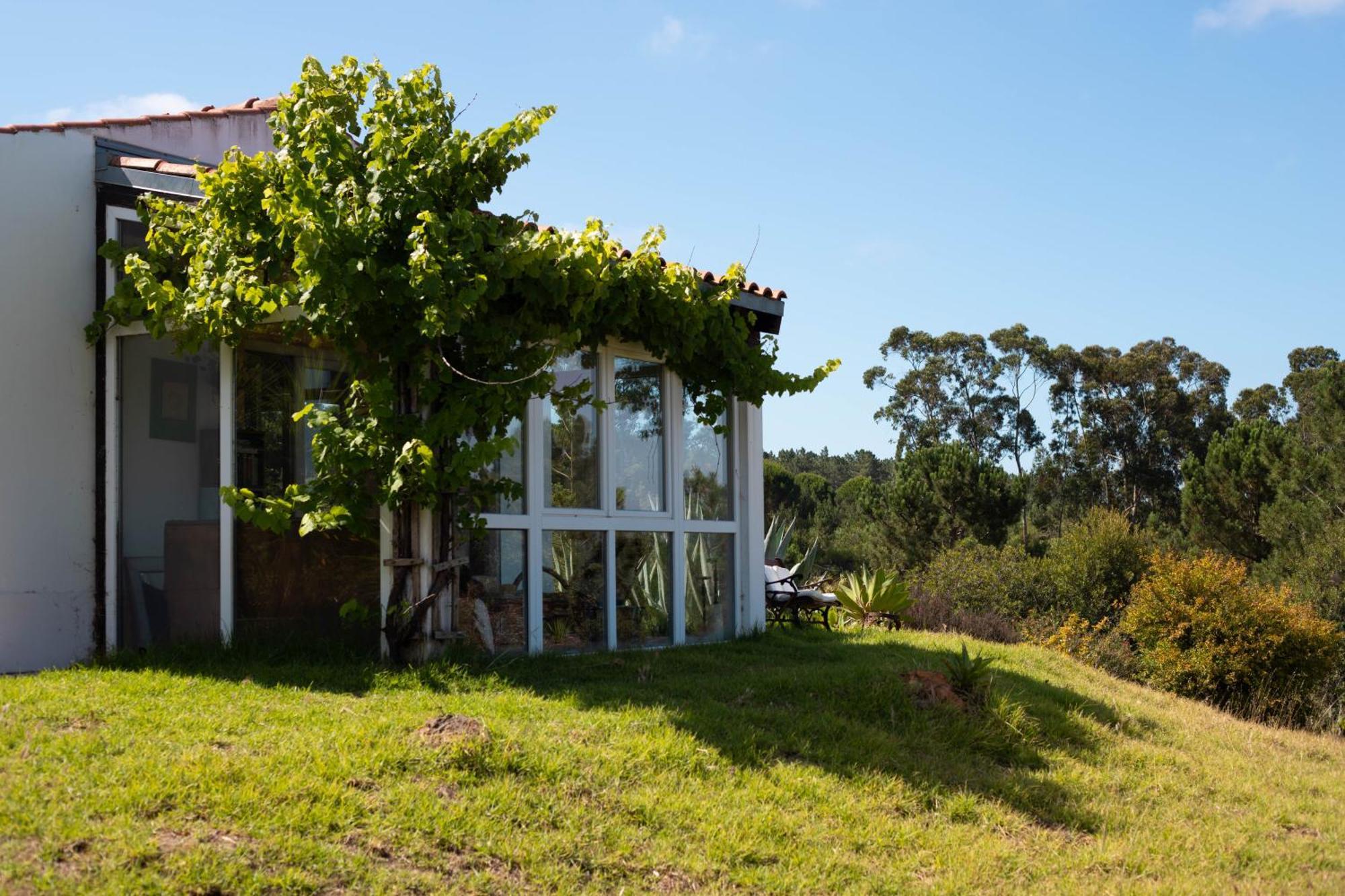 Monte Da Urze Aljezur - Agroturismo エクステリア 写真