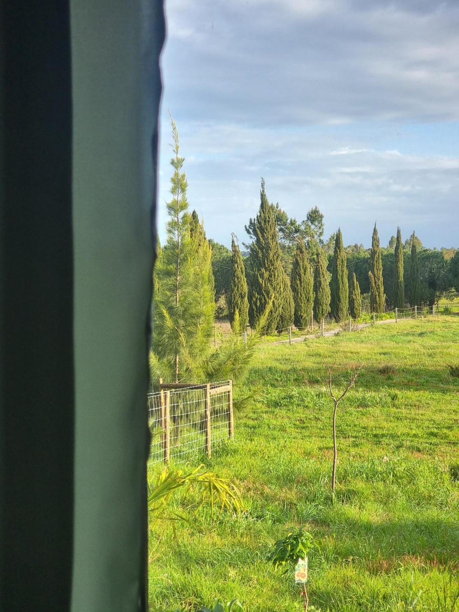 Monte Da Urze Aljezur - Agroturismo エクステリア 写真